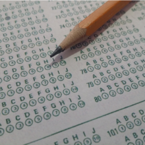 Português para Concursos